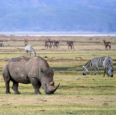Ngorongoro Conservation Area4